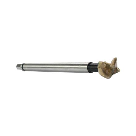 Big Horn 70151 1 Inch Carbide Tipped Spur Bit - 1/2 Inch Shank with 3/8 Inch Hex End